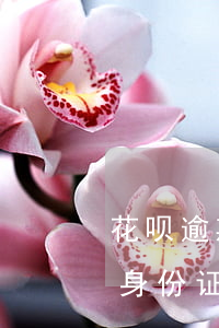 花呗逾期多少天会被拉黑(花呗借呗逾期多久身份证才会拉黑名单)