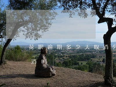 花呗逾期多少天取消分期(花呗分期了还能取消吗)