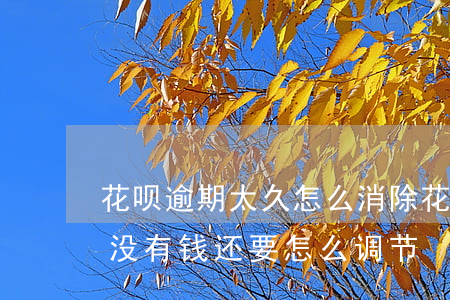 花呗逾期太久怎么消除(花呗逾期很久了现在没有钱还要怎么调节)