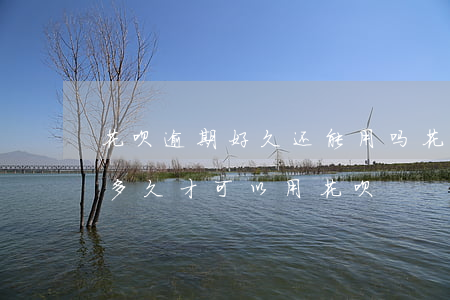 花呗逾期好久还能用吗(花呗逾期几个月还了多久才可以用花呗)