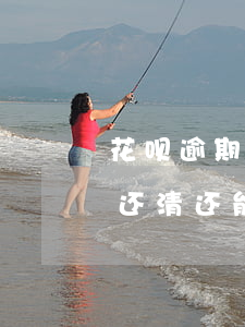 花呗逾期好几年怎么还款(花呗逾期3年全部还清还能用花呗吗)