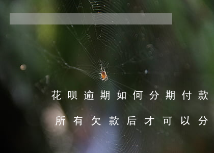 花呗逾期如何分期付款(花呗逾期必须要还清所有欠款后才可以分期吗)