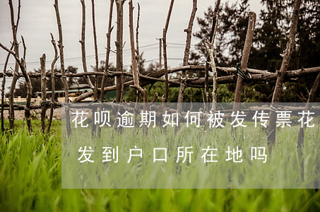 花呗逾期如何被发传票(花呗逾期起诉传单会发到户口所在地吗)