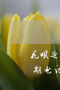 花呗逾期客服来电话让一次性还清-花呗逾期电话通知了我还了没还完可以吗