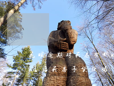 花呗逾期对买房有影响吗(花呗逾期了会影响以后买房子贷款吗)
