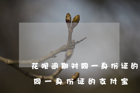 花呗逾期对同一身份证的支付宝(花呗逾期对同一身份证的支付宝)