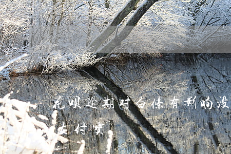 花呗逾期对白条有影响没(白条逾期了会影响支付宝)