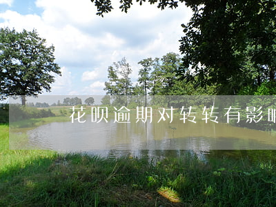 花呗逾期对转转有影响吗(转转能花呗吗)
