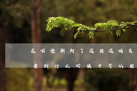 花呗逾期封了还用还吗(支付宝花呗逾期封了要到什么时候才可以用)