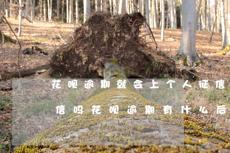 花呗逾期就会上个人征信(花呗逾期多久上征信吗?花呗逾期有什么后果)