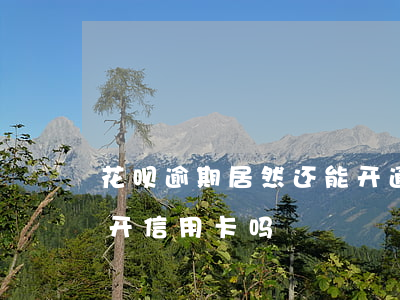 花呗逾期居然还能开通-花呗逾期过还可以开信用卡吗