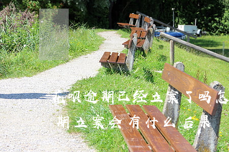 花呗逾期已经立案了吗怎么还 支付宝花呗逾期立案会有什么后果