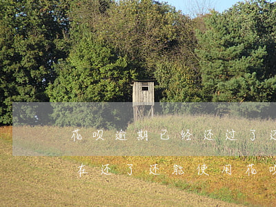 花呗逾期已经还过了还能用吗(花呗逾期了,现在还了,还能使用花呗吗)