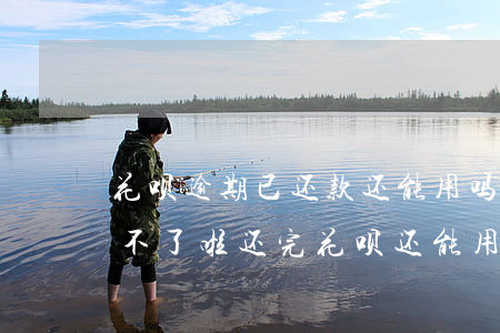 花呗逾期已还款还能用吗(花呗逾期了借呗用不了啦,还完花呗还能用吗)
