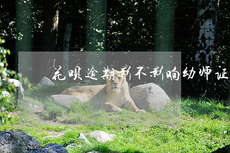 花呗逾期影不影响幼师证