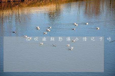 花呗逾期影像办借记卡吗