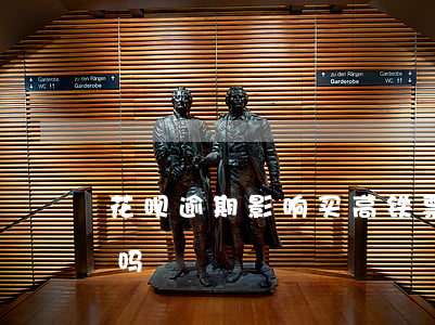 花呗逾期影响买高铁票吗(花呗能付高铁票钱吗)