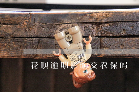 花呗逾期影响交农保吗