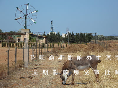花呗逾期影响办生源贷吗(花呗借呗有欠款无逾期影响房贷审批吗)