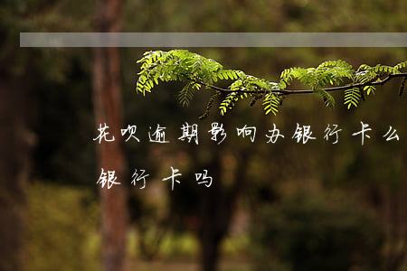 花呗逾期影响办银行卡么(花呗不还会影响办银行卡吗)