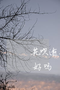 花呗逾期征信会良好吗-花呗逾期征信会良好吗