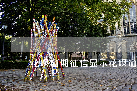 花呗逾期征信显示(花呗逾期征信显示)