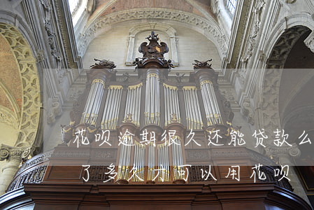 花呗逾期很久还能贷款么(花呗逾期几个月还了多久才可以用花呗)