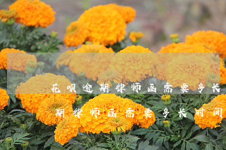 花呗逾期律师函需要多长时间到手-花呗逾期律师函需要多长时间到手呢