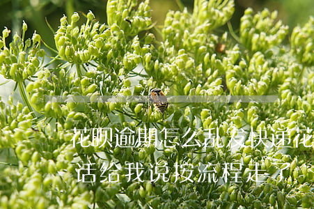 花呗逾期怎么乱发快递(花呗逾期很久了打电话给我说按流程走了)