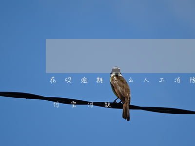 花呗逾期怎么人工消除(花呗逾期了怎么用支付宝付款)