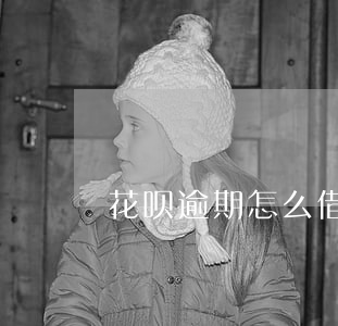花呗逾期怎么借宁波高炮