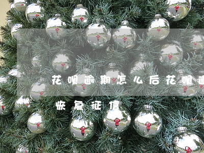 花呗逾期怎么后 花呗逾期后还清了多久才能恢复征信