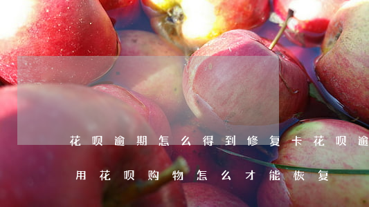 花呗逾期怎么得到修复卡(花呗逾期了无法使用花呗购物怎么才能恢复)