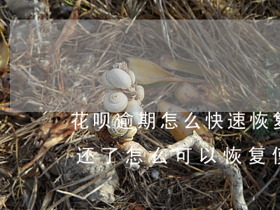 花呗逾期怎么快速恢复(花呗逾期了几天,现在还了,怎么可以恢复使用)