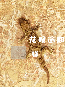 花呗逾期怎么样不自动还(花呗超期不还怎么样)