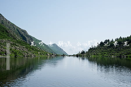 花呗逾期怎么消除记录(花呗记录可以清除吗)