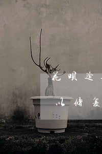 花呗逾期怎么用芝麻修复(花呗逾期还清后可以修复芝麻信用吗)