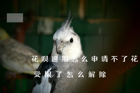 花呗逾期怎么申请不了(花呗没有逾期怎么就受限了,怎么解除)