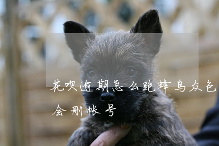 花呗逾期怎么跑蜂鸟众包(蜂鸟众包几天不跑会删帐号)
