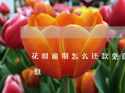 花呗逾期怎么还款免息(借呗逾期能否减免利息)