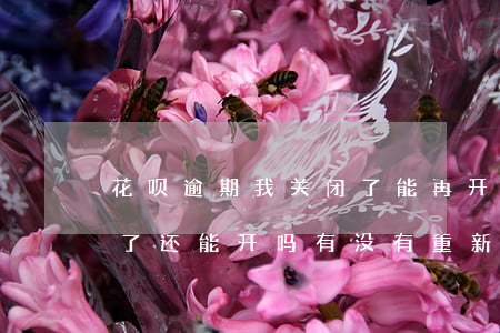花呗逾期我关闭了能再开通吗(花呗逾期被关了还能开吗?有没有重新开通的)