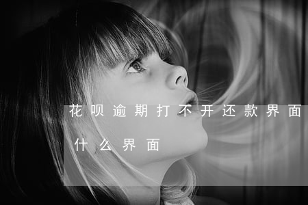 花呗逾期打不开还款界面(支付宝花呗逾期是什么界面)
