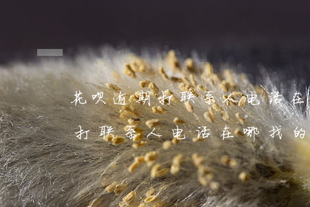 花呗逾期打联系人电话在哪找的-花呗逾期打联系人电话在哪找的到