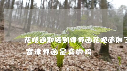 花呗逾期接到律师函(花呗逾期了收到电话说寄律师函是真的吗)