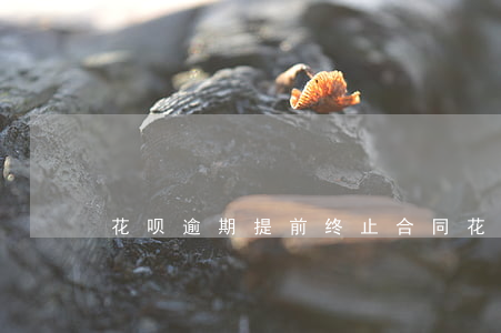 花呗逾期提前终止合同(花呗提前到期)