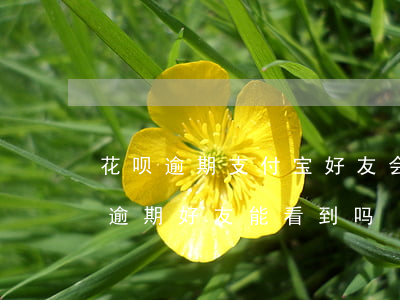 花呗逾期支付宝好友会看到么-支付宝花呗逾期好友能看到吗