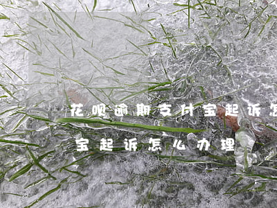 花呗逾期支付宝起诉怎么办-花呗逾期支付宝起诉怎么办理