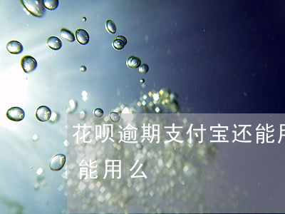 花呗逾期支付宝还能用-花呗逾期支付宝还能用么?
