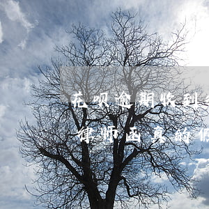 花呗逾期收到律师函真的假的(花呗逾期收到律师函真的假的怎么办)