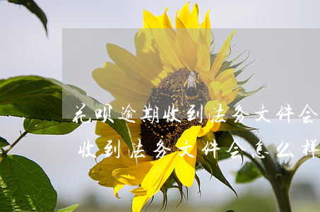 花呗逾期收到法务文件会怎么样-花呗逾期收到法务文件会怎么样吗
